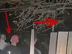 Veteran crime scene analyst Scott Roder works with Jim Quirk / Extraterrestrial Reality podcast to recreate the Las Vegas backyard scene from April 2023, when several reported seeing a beaming light in the sky and something seemingly falling from the sky. 