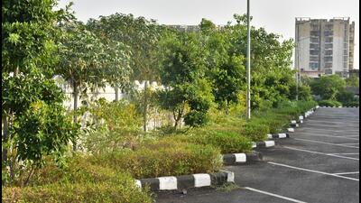 Remaining half of the saplings have been planted at Duhai depot and these include about 75 different varieties. Plantation will also be taken up once the under-construction stations are complete. (Sakib Ali/HT Photo)