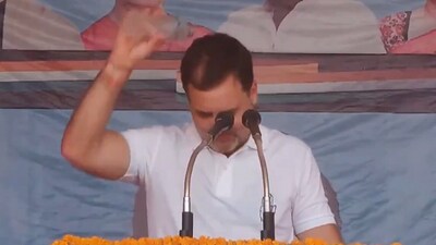 Rahul Gandhi pours water over his head. (X/Congress)