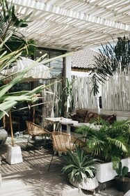 Bring in some Nature into your home with plants (Unsplash) Bring in some Nature into your home with plants (Unsplash)