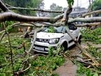 A car got damaged after an uprooted tree fell on it due to heavy rain and winds triggered by Cyclone Remal in Dima Hasao, Assam, on Tuesday. A car got damaged after an uprooted tree fell on it due to heavy rain and winds triggered by Cyclone Remal in Dima Hasao, Assam, on Tuesday.