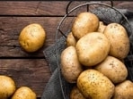 International Potato Day will be celebrated on May 30, which is a Thursday. International Potato Day will be celebrated on May 30, which is a Thursday.