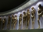 Mummies are displayed in the Mummy Museum in Guanajuato, Mexico. Mummies are displayed in the Mummy Museum in Guanajuato, Mexico.