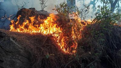 A massive fire breaks out in the Darsoo Forest area, in Jammu and Kashmir’s Udhampur. (ANI) A massive fire breaks out in the Darsoo Forest area, in Jammu and Kashmir’s Udhampur. (ANI)