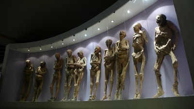 Mummies are displayed in the Mummy Museum in Guanajuato, Mexico. (AP) Mummies are displayed in the Mummy Museum in Guanajuato, Mexico. (AP)