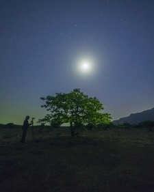 Use a tripod to take pictures of the fireflies, do not use a flash (Nikihil Bagul)