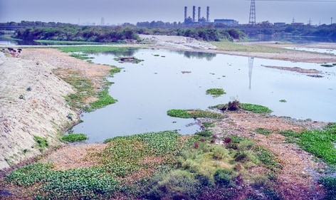 A view of Yamuna River at Vikas Marg in New Delhi on May 27. (Arvind Yadav/ Hindustan Times) A view of Yamuna River at Vikas Marg in New Delhi on May 27. (Arvind Yadav/ Hindustan Times)