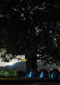 Fireflies camp at Rajmachi (Treks and Trails)