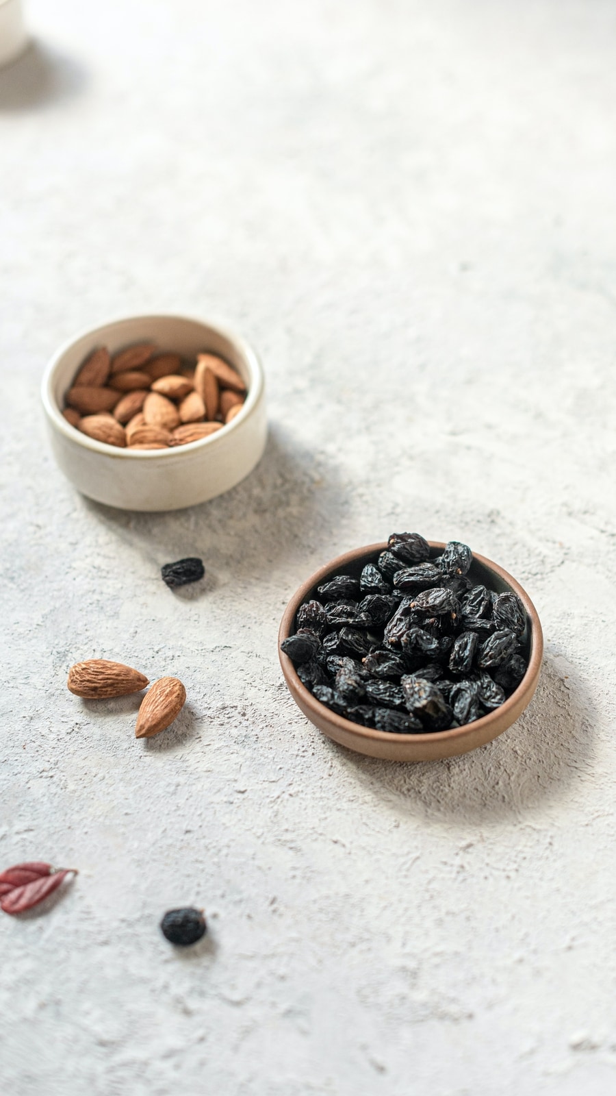 black_raisin