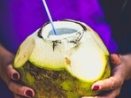 coconut6