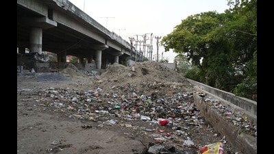 A garbage pile in Gomti Nagar of Lucknow (HT)
