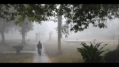 Kukrail forest in Lucknow, during a fine winter morning (Subhankar Chakraborty/HT Fike) Kukrail forest in Lucknow, during a fine winter morning (Subhankar Chakraborty/HT Fike)