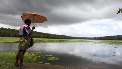 The monsoon core zone consisting of most of the rainfed agriculture areas in the country is expected to record above normal rain. (File Photo) The monsoon core zone consisting of most of the rainfed agriculture areas in the country is expected to record above normal rain. (File Photo)