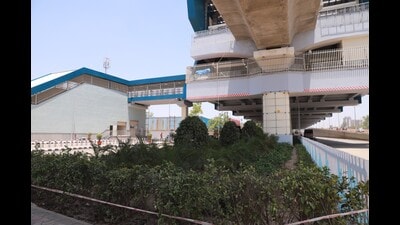 The plants and saplings are being planted under the corridor, in the median between roads and at stations and depots. (HT) The plants and saplings are being planted under the corridor, in the median between roads and at stations and depots. (HT)