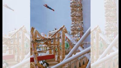 Vivan Sundaram’s 2008 work, Fly, seems eerily familiar to visual artist Tehmeena Firdos. (VIVAN SUNDARAM) Vivan Sundaram’s 2008 work, Fly, seems eerily familiar to visual artist Tehmeena Firdos. (VIVAN SUNDARAM)