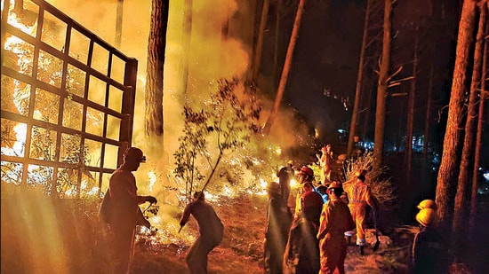Officials try to douse a fire that erupted in the hills of Varunavat on Wednesday evening.