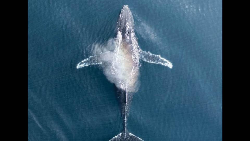 Simeon Pratt’s photos seem intimate despite the scale. (INSTAGRAM/@SIMEONPRATT)