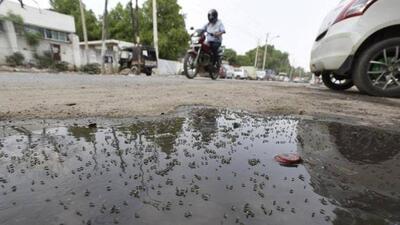 Six malaria cases have been registered in the district between January and May this year, according to the information from Gautam Budh Nagar health department. (HT Photo) Six malaria cases have been registered in the district between January and May this year, according to the information from Gautam Budh Nagar health department. (HT Photo)