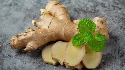 5. Ginger: Not just for flavour, ginger aids digestion and enhances your metabolism, supporting overall vitality. (Freepik) 5. Ginger: Not just for flavour, ginger aids digestion and enhances your metabolism, supporting overall vitality. (Freepik)
