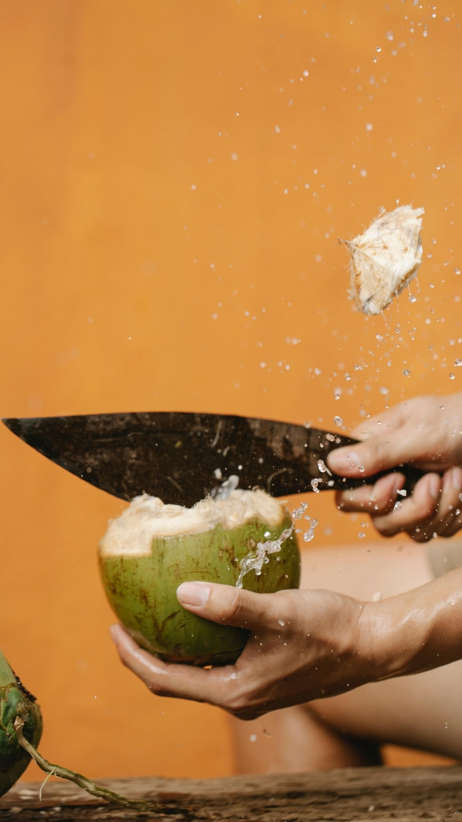 coconut4