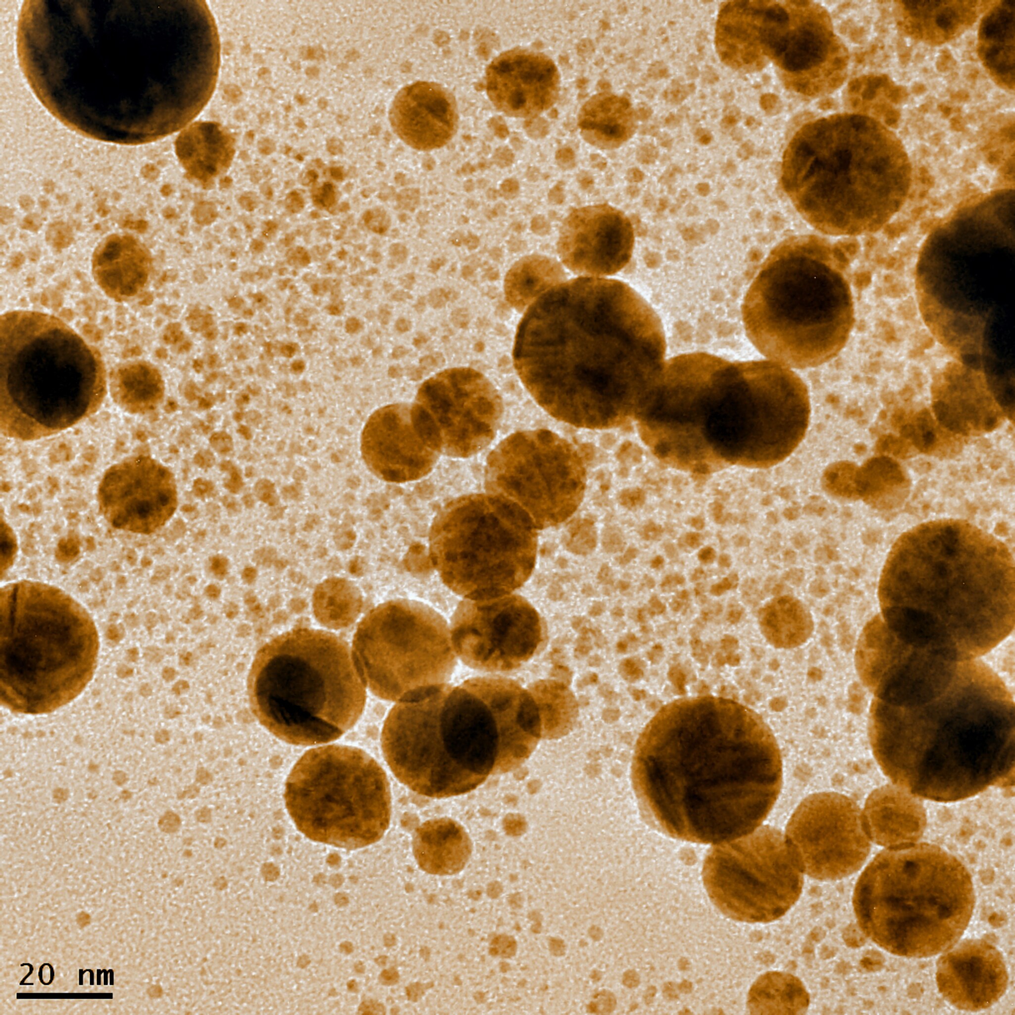 Gold nanoparticles are in great demand in biomedicine and biotechnology. (Shutterstock) Gold nanoparticles are in great demand in biomedicine and biotechnology. (Shutterstock)