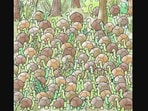 Brain teaser: Where is the snake hiding in this sea of turtles? Did you manage to spot it? Brain teaser: Where is the snake hiding in this sea of turtles? Did you manage to spot it?