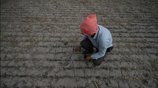 A dried patch of land due to extreme heatwave at Mungeshpur. (Sanchit Khanna/HT Photo)