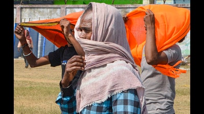 Madhya Pradesh reported the maximum number of deaths at 14, followed by Maharashtra, Andhra Pradesh and Rajasthan. (PTI) Madhya Pradesh reported the maximum number of deaths at 14, followed by Maharashtra, Andhra Pradesh and Rajasthan. (PTI)