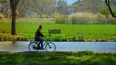 Cycling also helps in lowering the cholesterol levels in the body, thereby promoting good cardiovascular health and lowering the chances of heart attack and stroke. (Pixabay) Cycling also helps in lowering the cholesterol levels in the body, thereby promoting good cardiovascular health and lowering the chances of heart attack and stroke. (Pixabay)