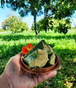 Singori recipe (Pinterest) Singori recipe (Pinterest)