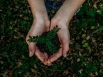 Every year, World Environment Day is observed with the intention of urging people to pledge to save the planet. (Unsplash)