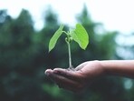Every year, World Environment Day is observed to raise awareness about climate change, global warming, deforestation and loss of biodiversity.