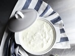 yoghurt_curd