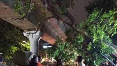 Bengaluru rains: Heavy spell creates havoc, trees uprooted and metro disrupted Bengaluru rains: Heavy spell creates havoc, trees uprooted and metro disrupted