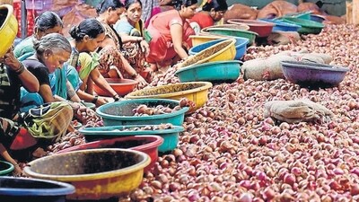 Navi Mumbai, India - Aug. 23, 2023:Workers sort Onions at a cold storage in Bajrang ice factory & Cold storage, after Union Government imposes 40 percent duty on exports of Onions at Sector -18 Vashi in Navi Mumbai, India, on Wednesday, August 23, 2023. (Photo by Bachchan Kumar/ HT PHOTO) (HT PHOTO) Navi Mumbai, India - Aug. 23, 2023:Workers sort Onions at a cold storage in Bajrang ice factory & Cold storage, after Union Government imposes 40 percent duty on exports of Onions at Sector -18 Vashi in Navi Mumbai, India, on Wednesday, August 23, 2023. (Photo by Bachchan Kumar/ HT PHOTO) (HT PHOTO)