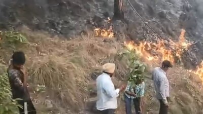 Upon receiving the information, forest department personnel swung into action to contain the fire on Sunday. (ANI) Upon receiving the information, forest department personnel swung into action to contain the fire on Sunday. (ANI)