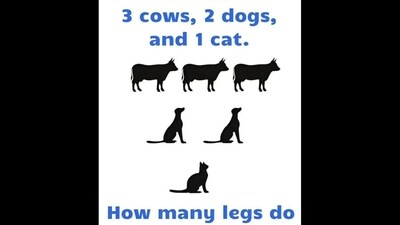 Brain Teaser: Can you solve this animal puzzle in ten seconds? (Threads/@rombesk)