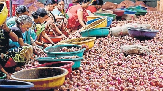 Navi Mumbai, India - Aug. 23, 2023:Workers sort Onions at a cold storage in Bajrang ice factory & Cold storage, after Union Government imposes 40 percent duty on exports of Onions at Sector -18 Vashi in Navi Mumbai, India, on Wednesday, August 23, 2023. (Photo by Bachchan Kumar/ HT PHOTO) (HT PHOTO)