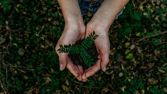 Every year, World Environment Day is observed with the intention of urging people to pledge to save the planet. (Unsplash)