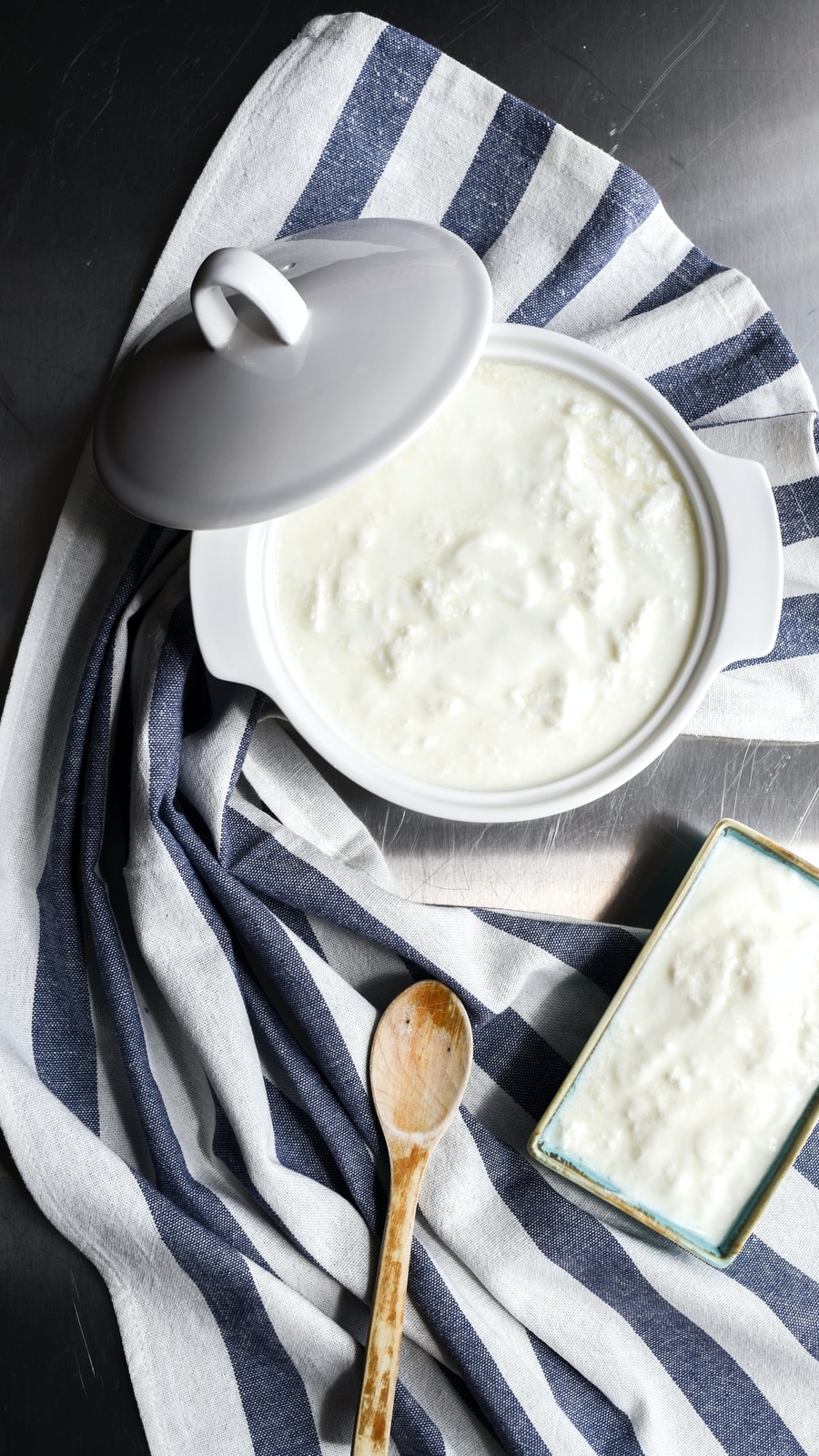 yoghurt_curd