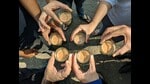 Chai stories (Shutterstock)