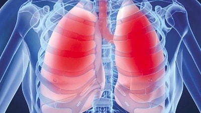 10 wellness, health tips for people trying to quit smoking and working on having strong lungs (Representative image)