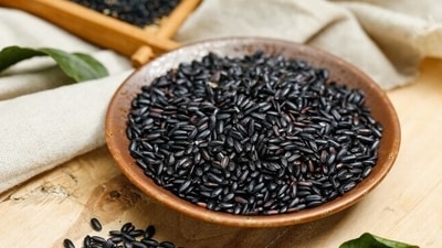 Black rice: Antioxidant-rich, black rice has low to medium GI of 42-45. It is great for desserts and savoury dishes.&nbsp; (Freepik)