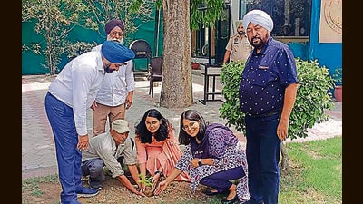 Deputy commissioner Sakshi Sawhney and other officials planting a sapling in Ludhiana on Wednesday. (HT Photo) Deputy commissioner Sakshi Sawhney and other officials planting a sapling in Ludhiana on Wednesday. (HT Photo)