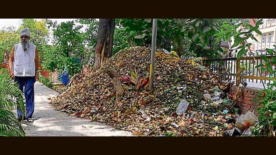 Residents urge the civic body to establish a systematic collection and transportation process for green waste to designated composting sites. (Manish/HT) Residents urge the civic body to establish a systematic collection and transportation process for green waste to designated composting sites. (Manish/HT)