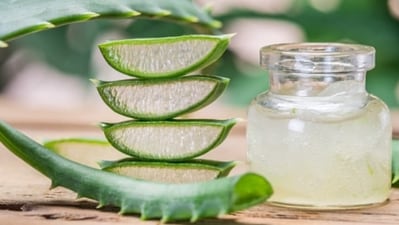 Choose natural moisturisers: Lock in moisture with natural options like aloe vera or almond oil. (Pexels) Choose natural moisturisers: Lock in moisture with natural options like aloe vera or almond oil. (Pexels)