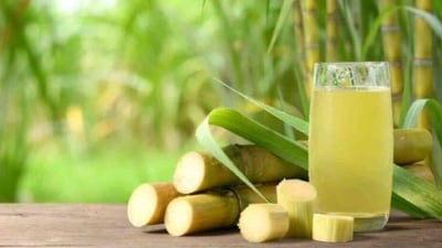 Sugarcane juice is quite popular in summer as it helps beat the heat by naturally cooling the body and aids in replenishing the lost electrolytes. (Adobe Stock) Sugarcane juice is quite popular in summer as it helps beat the heat by naturally cooling the body and aids in replenishing the lost electrolytes. (Adobe Stock)