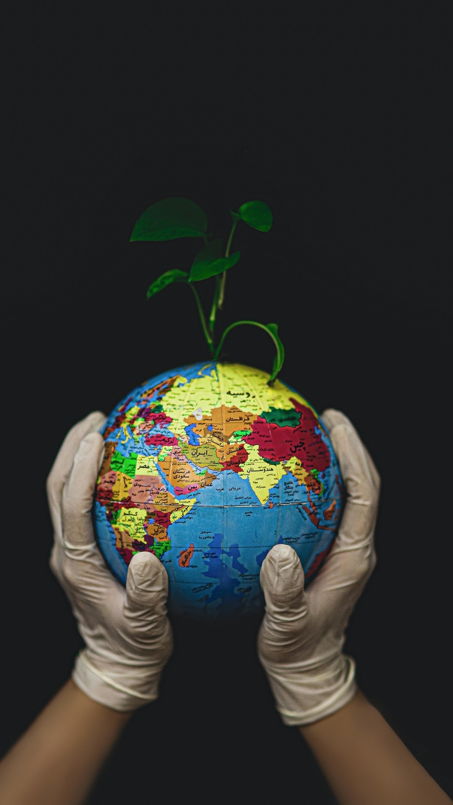 World_Envt_Day