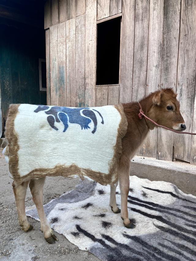The rug has been designed by Sanskruti Shukla, co-created with the craft community of Chubako for Echostream, Gangtok (Manou) The rug has been designed by Sanskruti Shukla, co-created with the craft community of Chubako for Echostream, Gangtok (Manou)