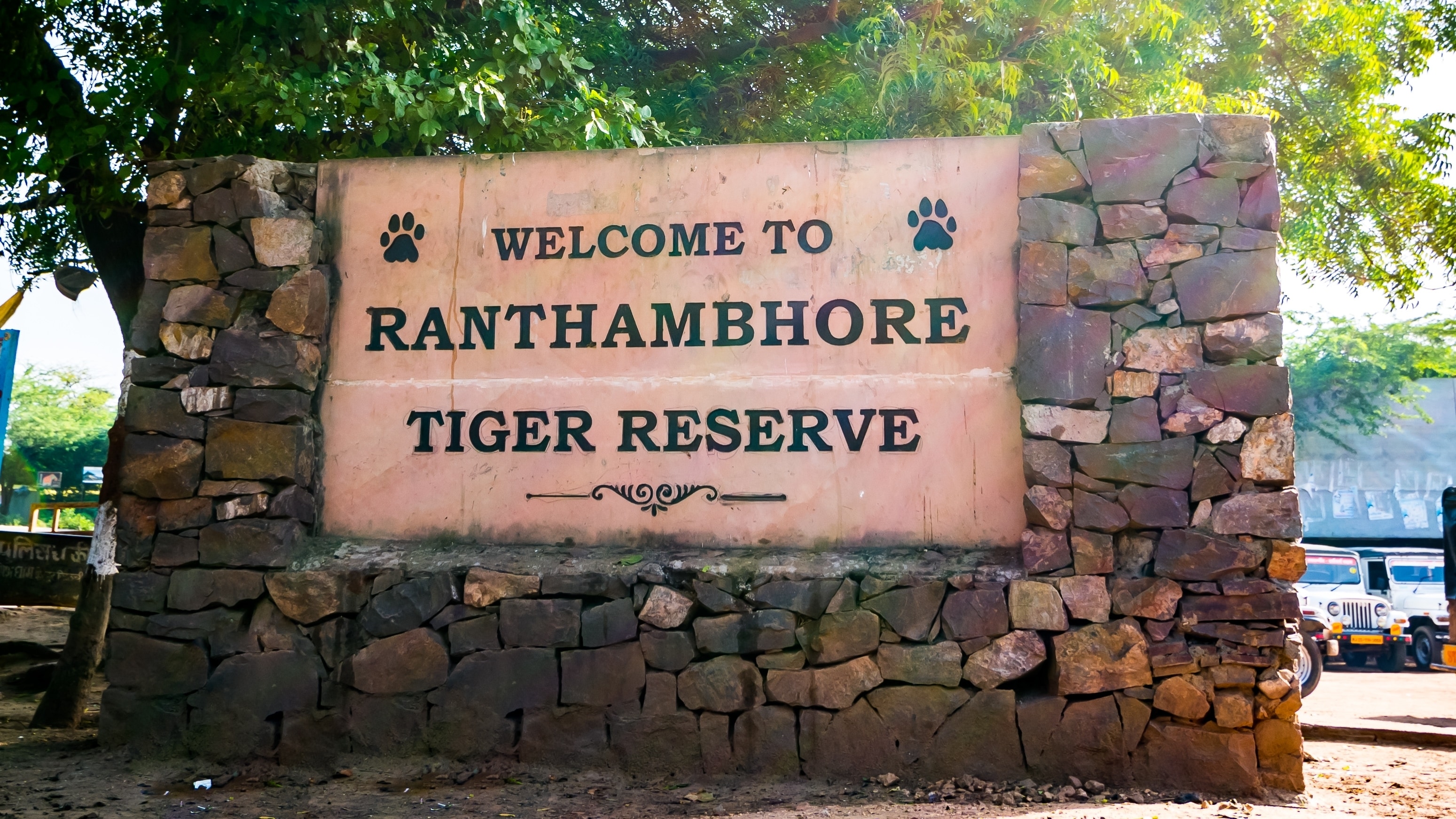 Ranthambore also has several eco-friendly hotels and resorts.(Shutterstock)